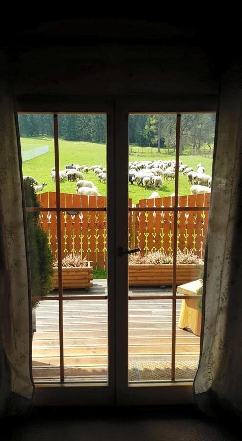 Domek Otulina Zakopane Eksteriør billede